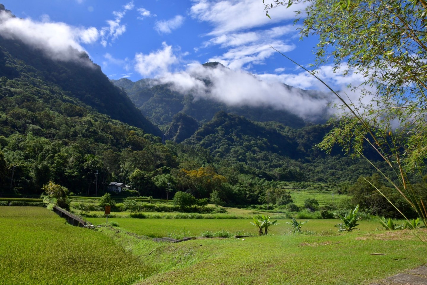 Conservation and adaptation go hand in hand: on the role of Taiwan ...